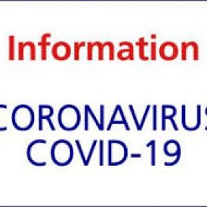 covid 19